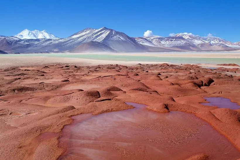 Piedras Rojas, com as rochas vermelhas e os vulcões nevados ao fundo